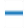 Lee Blue Stripe filter